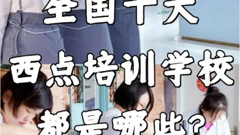 少儿编程和机器人编程哪个含金量高